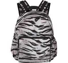 Big Backpack Bags & Containers